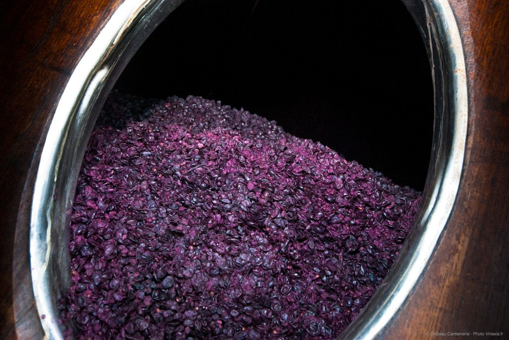 Chateau Cantemerle 佳得美  買紅酒 Red Wine 香港買酒網 法國名莊酒 france red wine 買紅酒 紅酒推介 頂級紅酒 波爾多 Bordeaux 1855 Wines