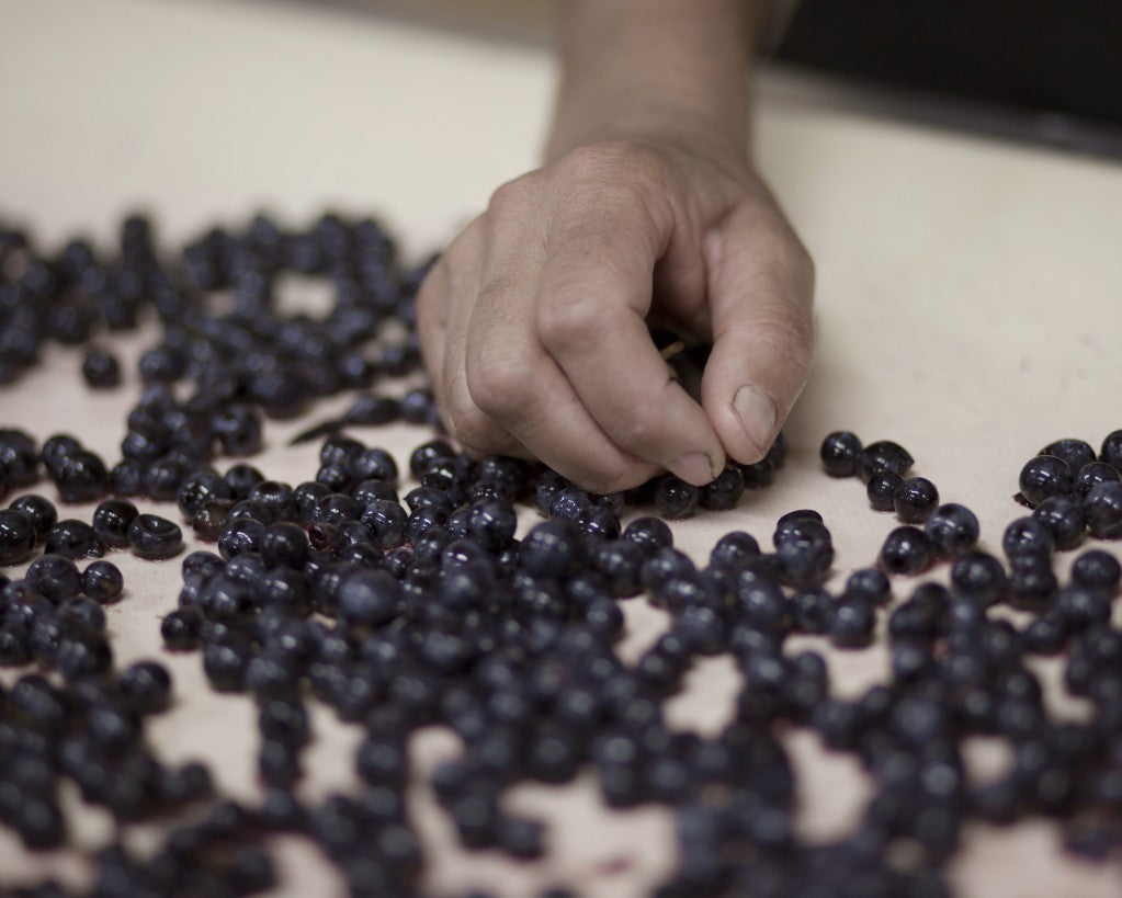 Chateau Dauzac 都沙 買紅酒 Red Wine 香港買酒網 法國名莊酒 france red wine 買紅酒 紅酒推介 頂級紅酒 波爾多 Bordeaux 1855 Wines