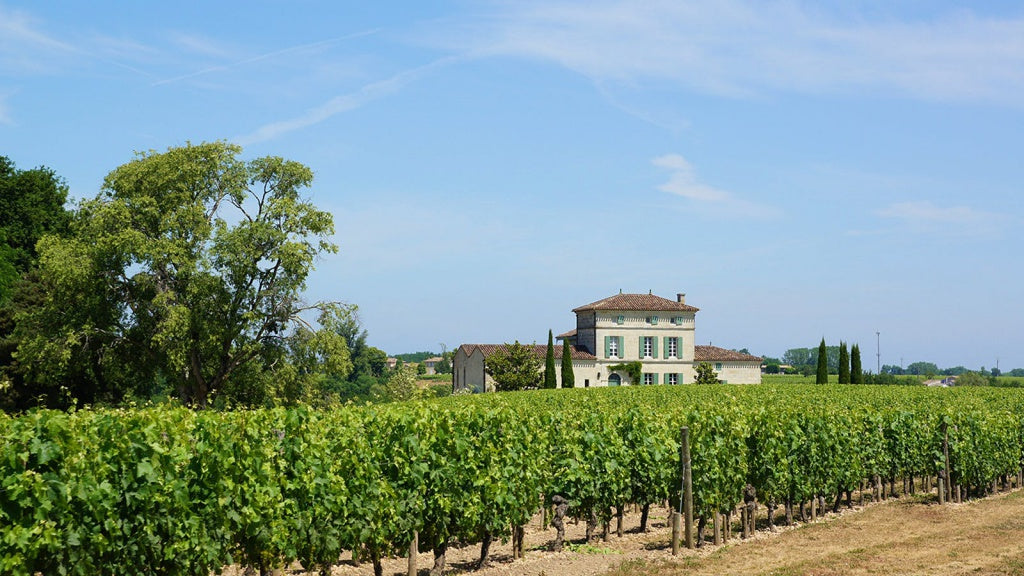 Chateau Hosanna 凱歌酒莊 紅酒推介 買紅酒 頂級紅酒 買紅酒 Red Wine  法國名莊酒 紅酒推薦 Fine Wine Asia 香港買酒網 酒鋪 上網買酒 紅酒價格 紅酒推介