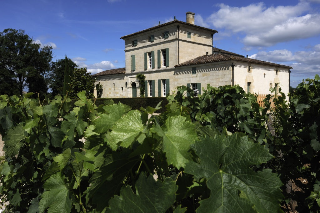 柏翠之花酒莊 Chateau La Fleur-Petrus 紅酒推介 買紅酒 頂級紅酒 買紅酒 Red Wine 法國名莊酒 紅酒推薦 Fine Wine Asia 香港買酒網 酒鋪 上網買酒 紅酒價格 紅酒推介