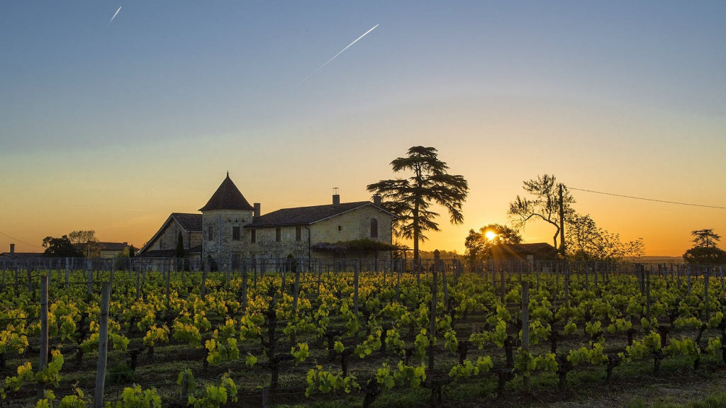 Chateau Valandraud 瓦蘭佐 買紅酒 Red Wine 紅酒推薦 紅酒推介 頂級紅酒 Fine Wine Asia 法國名莊酒 france red wine Wine Searcher 上網買酒 紅酒價格 紅酒推介 紅酒訂購 紅酒送貨