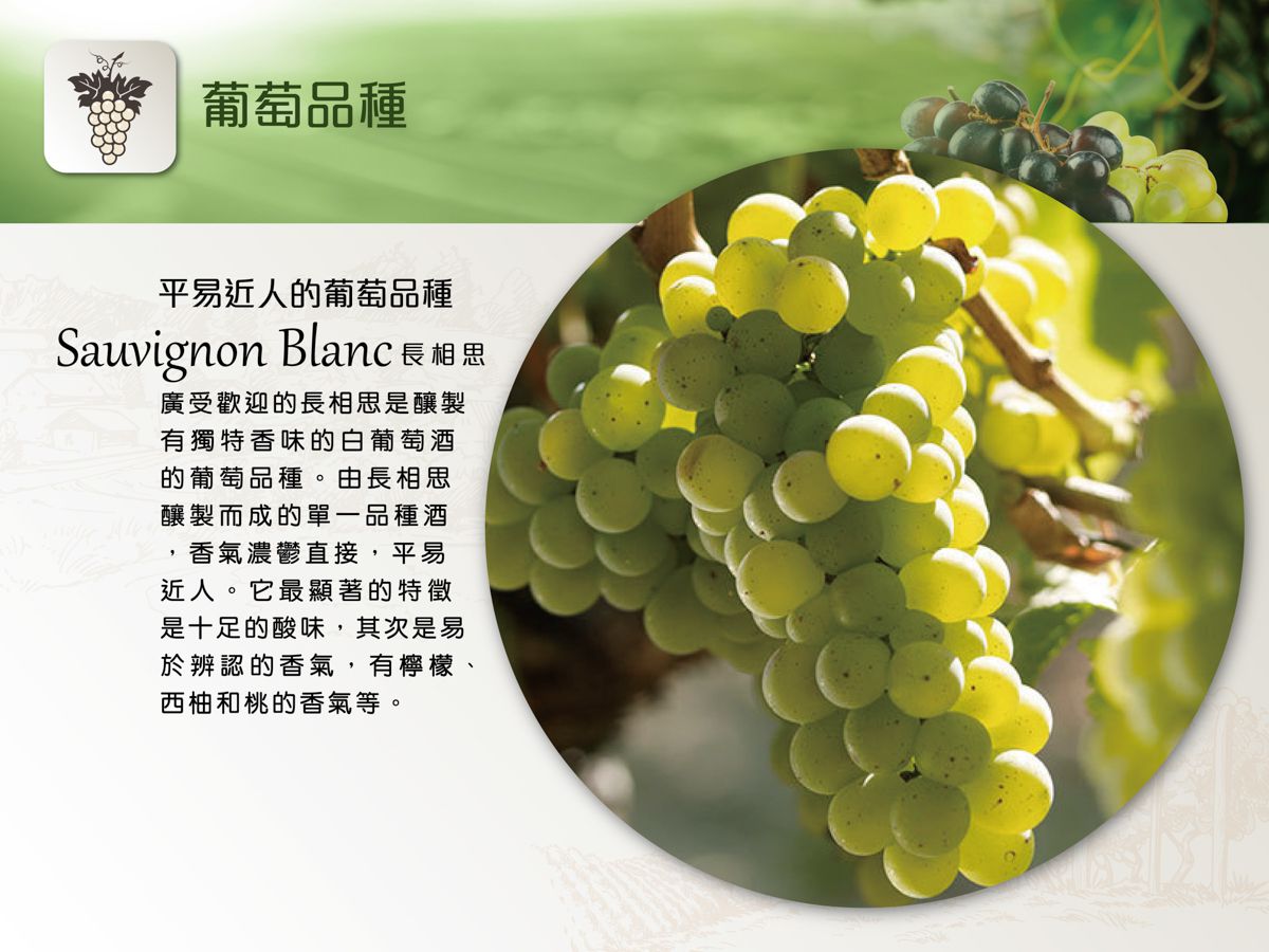  Vigna Traverso Sottocastello Bianco, 特桑奧酒莊葡萄酒, DOC, COF 買白酒, White Wine, Fine Wine Asia, 意大利評分酒, italian red wine, Wine Searcher, 紅酒推介, 頂級紅酒, 紅酒送貨