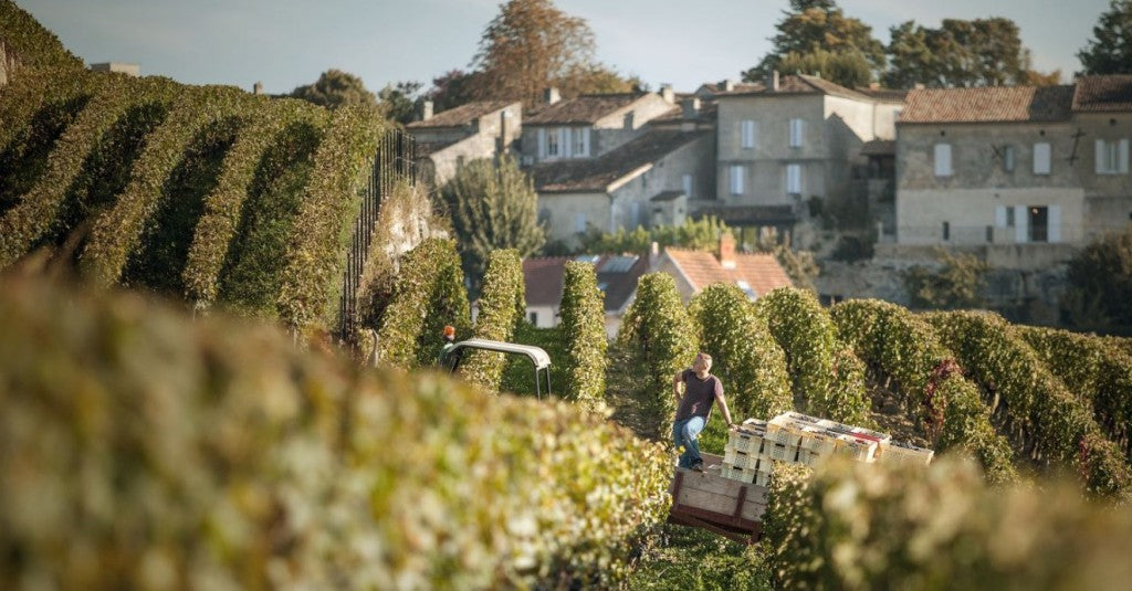 上網買酒, 紅酒價格, france red wine, 頂級紅酒, 紅酒推薦, Fine Wine Asia, 法國名莊酒, Chapelle D'Ausone, 歐頌副牌, 買紅酒 Red Wine