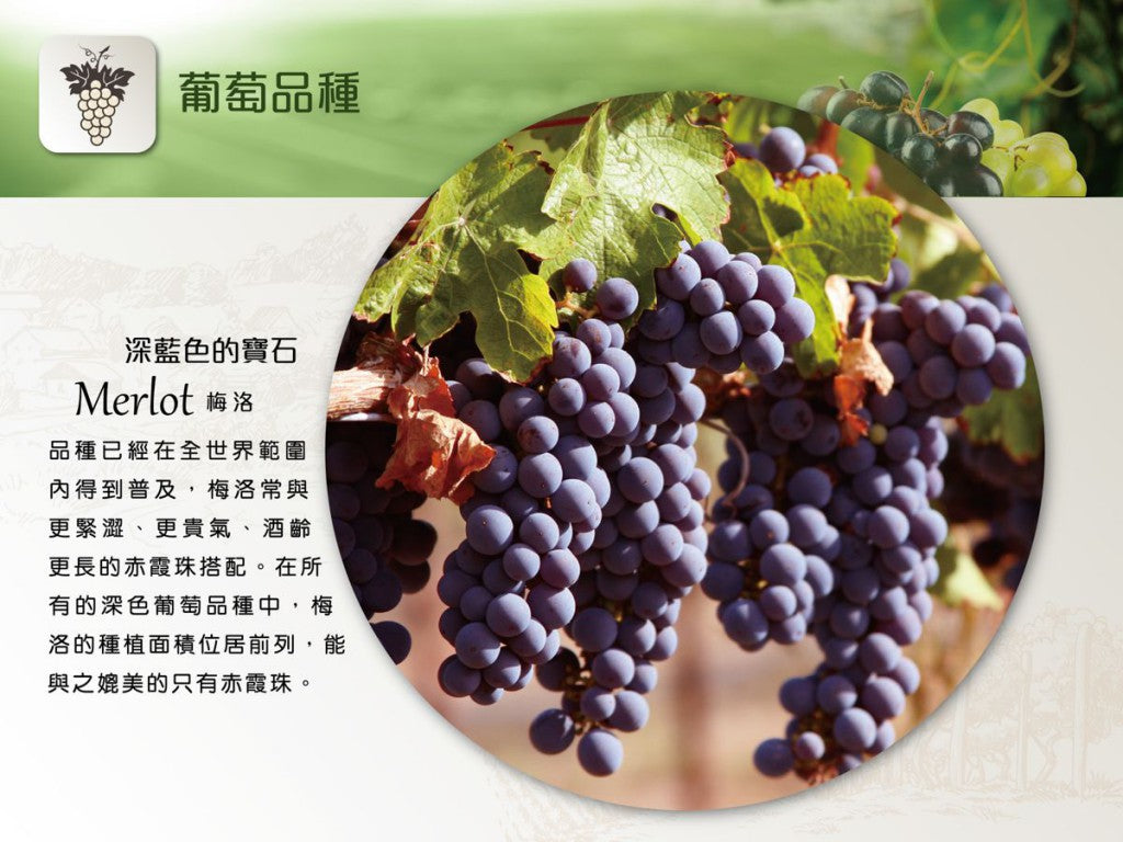  Vigna Traverso Sottocastello Rosso, 特桑奧酒莊葡萄酒, 買紅酒, Red Wine, Fine Wine Asia, 意大利評分酒, italian red wine, Wine Searcher, 紅酒推介, 頂級紅酒, 紅酒送貨