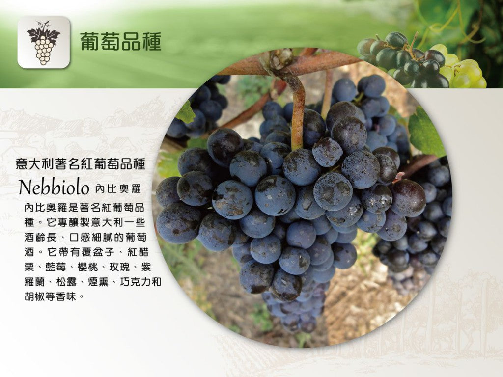 Carlo Giacosa,  NARIN Barbaresco, DOCG, 意大利王者佳釀, 買紅酒, Red Wine, Fine Wine Asia, 意大利評分酒, italian red wine, Wine Searcher, 紅酒推介, 頂級紅酒, 紅酒送貨