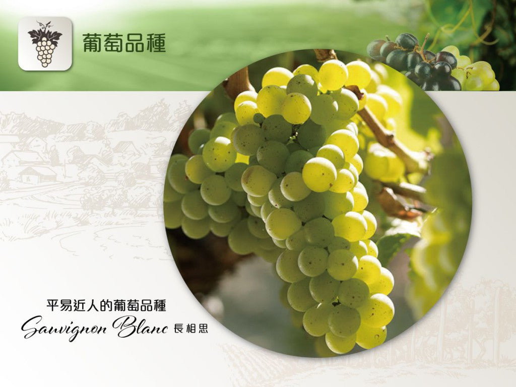Vulcaia Fume Sauvignon Del Veneto , IGT, 艾瑪酒莊陳年白酒長相思, 買葡萄酒, 白酒, White Wine, Fine Wine Asia, 意大利評分酒, italian red wine, Wine Searcher, 葡萄酒推介, 頂級葡萄酒, 葡萄酒送貨