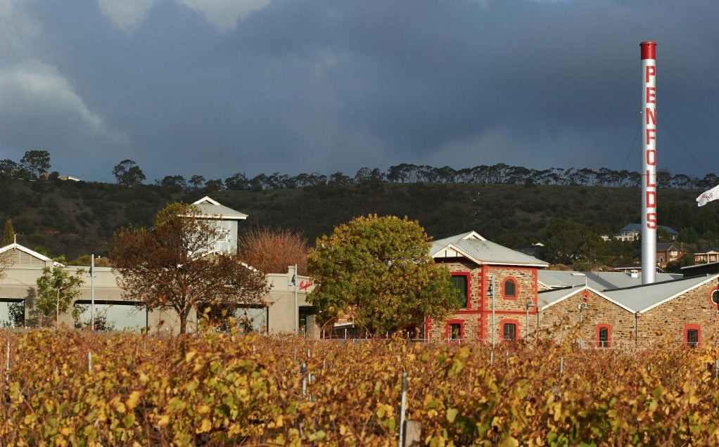 Penfolds Grange, 奔富王, 買紅酒, Red Wine, Fine Wine Asia, 意大利得獎酒, italian red wine, Wine Searcher, 紅酒推介, 頂級紅酒, 紅酒送貨